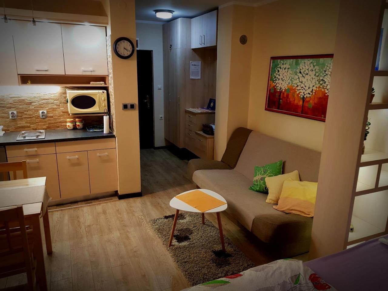 Dijamant Apartment Banja Koviljaca Luaran gambar